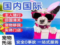 深圳宝安航空货运国际宠物托运 【国